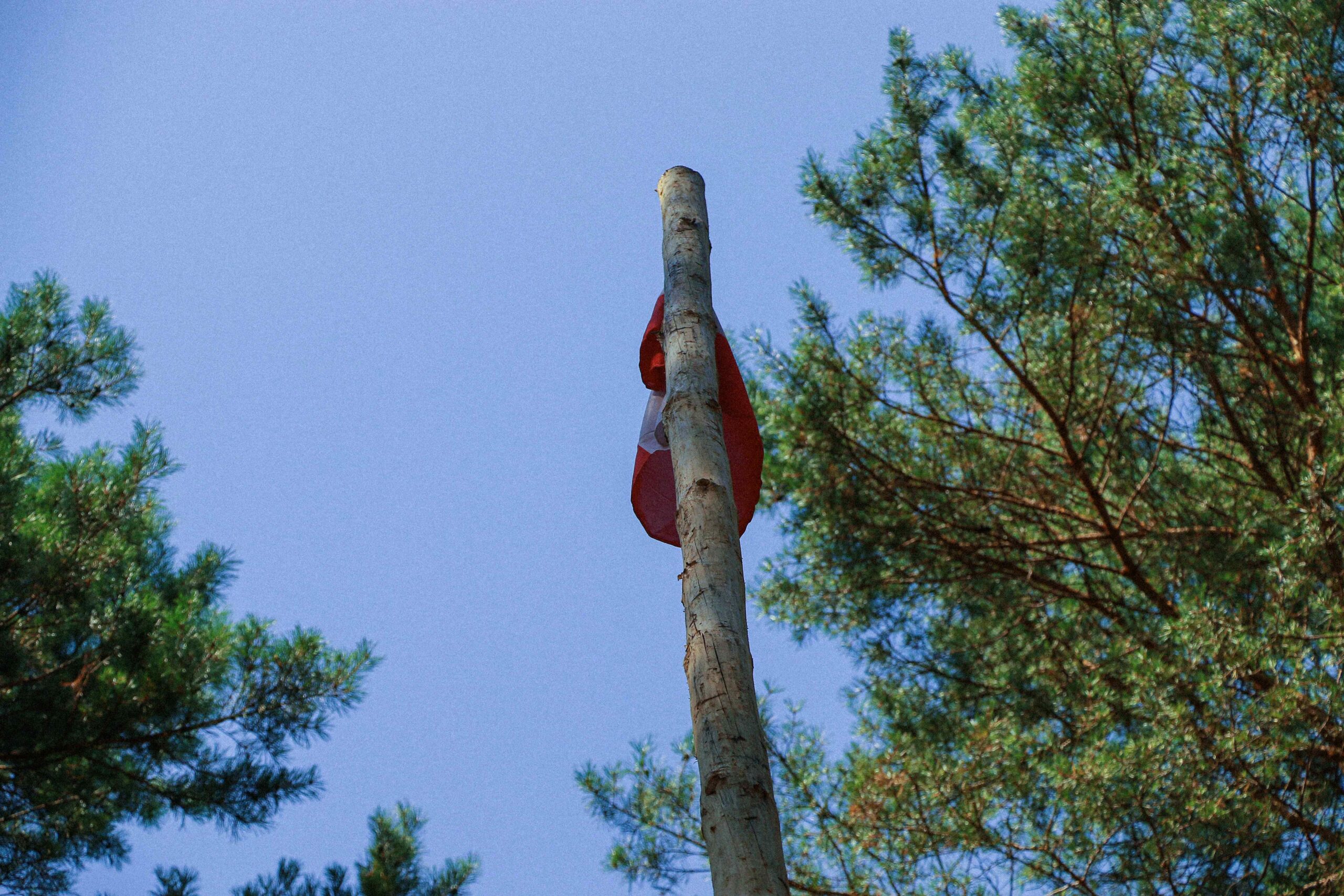 Biwak listopadowy