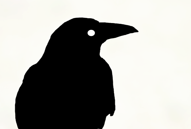 Konkurs na logo drużyny