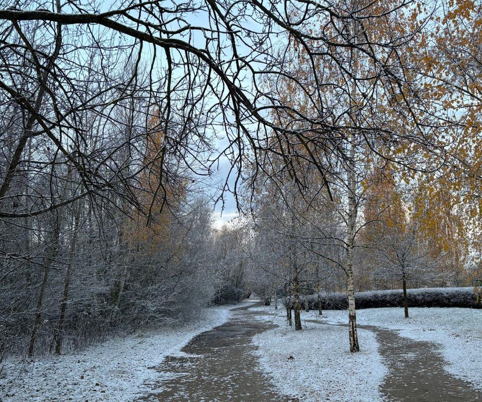Zbiórka drużyny 06.12
